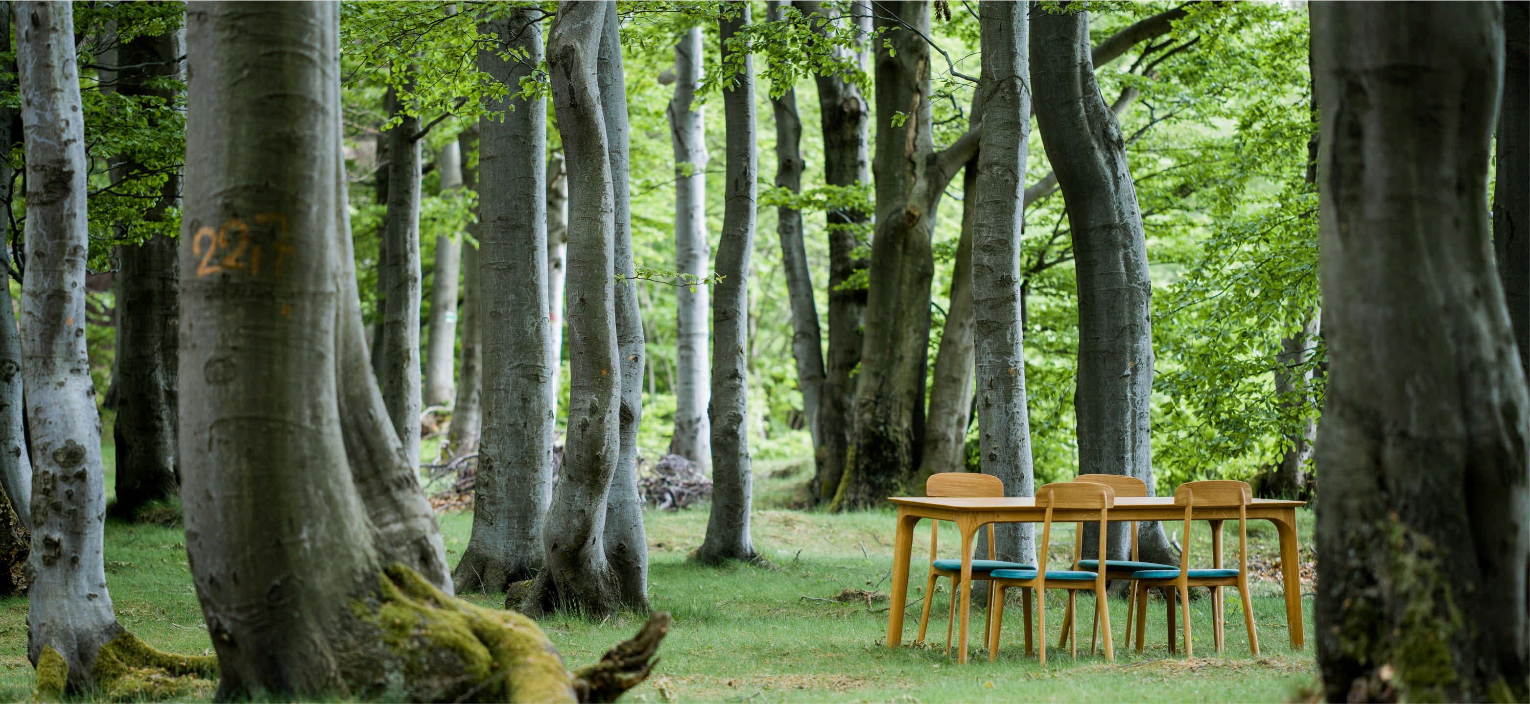 Which wood species is right for your furniture?